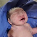 우주한방병원 | 막달(37w+3)부터 출산까지 초산모의 우당탕탕 임신종료후기(feat.38w+0유도분만)