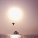 바람부는섬 이미지