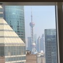 서포약국 | 친언니랑 11월 상하이 여행 일기 3일차 감기에 걸려버림