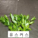 서마농장 네이버블로그