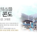 하이원 스키리조트 Daum카페