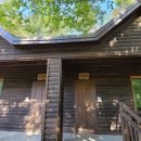 다래와 잣나무 이미지