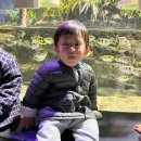 그린나래 어린이집 | 광교아쿠아룸 체험 2026.03.25