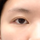 세븐일레븐 김포운양점 | 운양동 속눈썹 연장 바비인형 같은 LED애니메디자인 IN 라운드뷰티