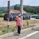 황골 - 화성시 | 황골