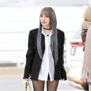 사쿠라 이미지