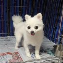 경남천광학교 이미지