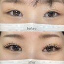 이나아이래쉬