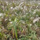 영후농장 이미지