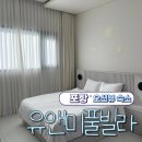 포항시북구61 | [포항] 오션뷰 숙소 유앤미풀빌라 301호 후기 (내돈내산) + 꽃게 마요 구이