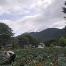 소법2리 마을회관 이미지