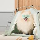 애견하우스 | 따수미펫 강아지 텐트 고양이 숨숨집 분리 불안 완화 애견 하우스 안식처 설치 후기