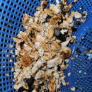 송산휴먼시아1단지 이미지