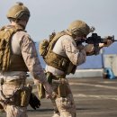 고려동물병원 이미지