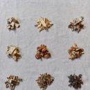 에스힐척척의원한의원 이미지