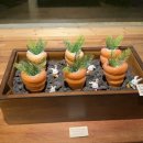 선이네김밥 이미지