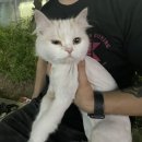 율전동물병원 이미지