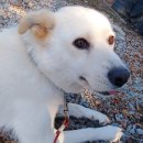 희순농장 이미지