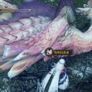 스타디움PC 이미지