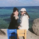 청춘 - 255092 | 청춘