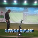 맥켄리스크린골프