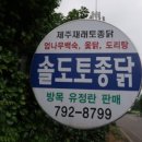 솔도토종닭