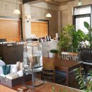 신기길L 이미지