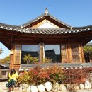 만년소녀 Daum카페