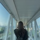 강변디스카운트 | 방콕 3박 5일 자유여행 추천코스, 요약 일정표 공유📝