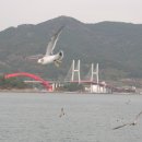 블루선 이미지