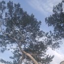 재동당구장 이미지