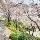 동아대학교 승학캠퍼스 이미지