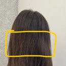 김포붙임머리 인플루언서 단골샵 1달 후기 머리빨리기른 방법