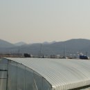 천마사