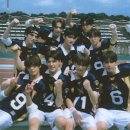 (주)미공디자인 | 늑대들이 왜 이렇게 아름다움? 그냥 르네가 되..