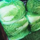 양푼이생태탕 | 오픈런해야하는 사당 이수역 양푼이 - 생태탕, 대구탕, 동태탕 맛집 발견!