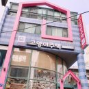 고양이 주택 이미지