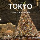 요선마을 | 일본 도쿄 12월 여행 4: 도쿄 디즈니랜드 입장권 티켓 가격 / 가는 법 / 크리스마스 행사 / 볼거리...