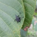 백우농장 이미지