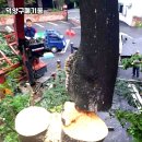 환경교육(음식물 폐기물 처리) 이미지