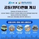 동부하나리무진&amp;케이버스 타고 내돈내산 부산-에버랜드 왕복 후기 !
