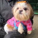 방범초소 옆 이미지