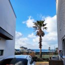 애월타운하우스 민박 이미지