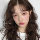 이정미용실 - 장흥군 | 이정미용실