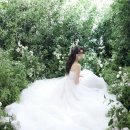 (주)스튜디오블룸 | 그리너리부터 야간 촬영까지 다채로운 버드투블룸 스튜디오 선택 이유
