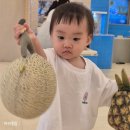 축협동물병원 | [0세] 서울형키즈카페 강동구 고덕2동점 후기