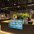 위지스우리는더블치킨 | [내돈내산] 더블트리 바이힐튼 서울판교 데메테르 뷔페 디너 후기 #생일기념식사 #아이랑식당 #어린이가격