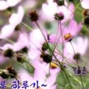 구월1동-17 이미지