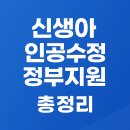 수정A | 2025 신생아 인공수정 정부지원 총정리 | 대상·신청방법·지원금·주의사항