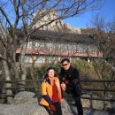 구름열매 이미지